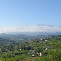DSC01028